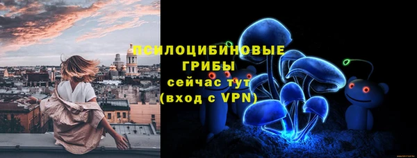 хмурый Пестово