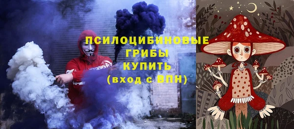 шишки Баксан