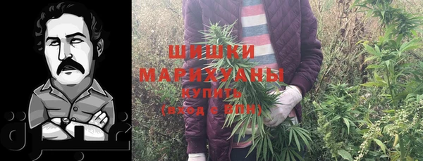 хмурый Пестово