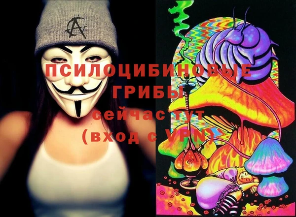 хмурый Пестово