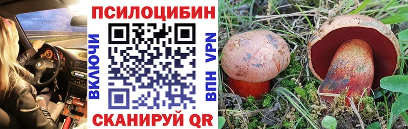 Псилоцибиновые грибы GOLDEN TEACHER  МЕГА вход  Балей 